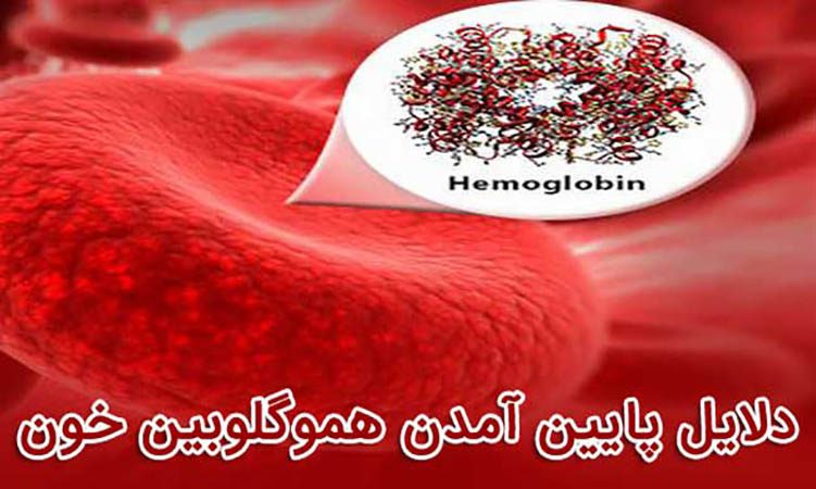هموگلوبین خون