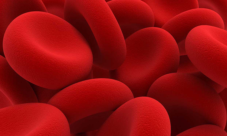 راهکار های افزایش گلبول قرمز خون