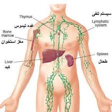 آدنوپاتی 